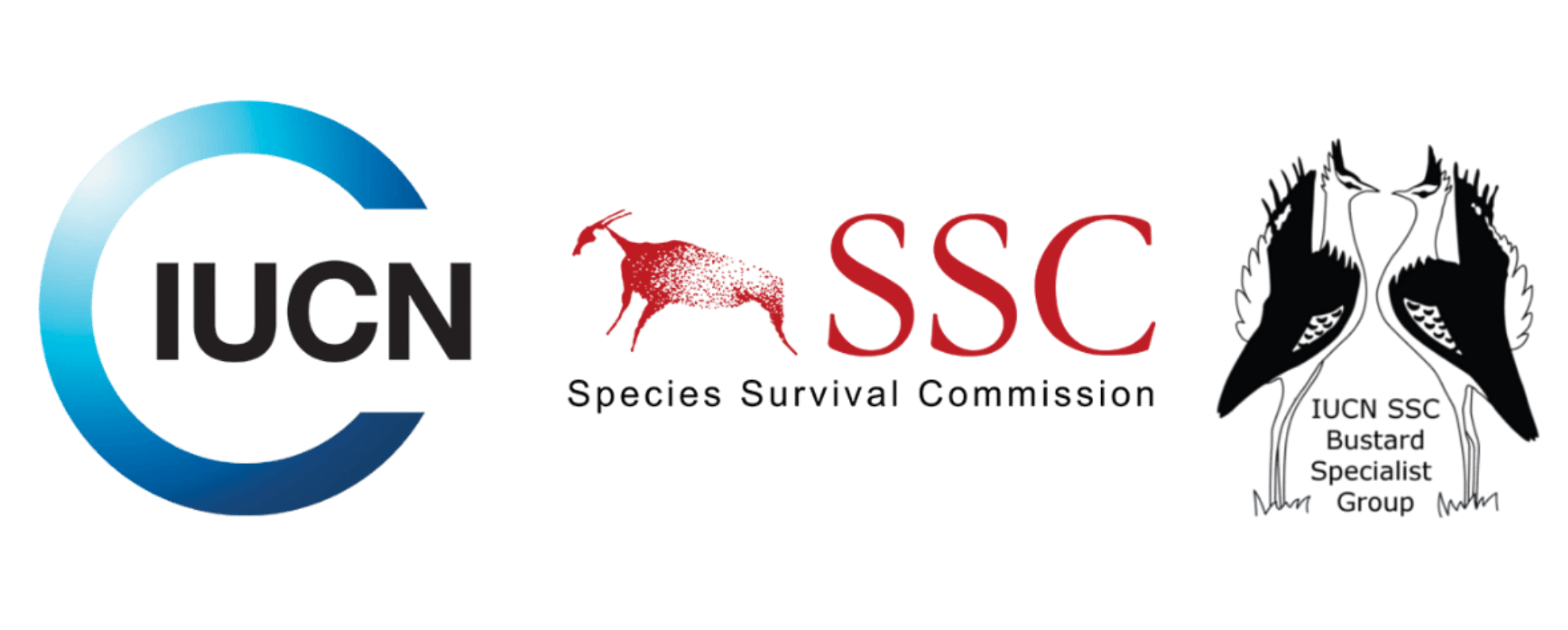 untitled design(282)