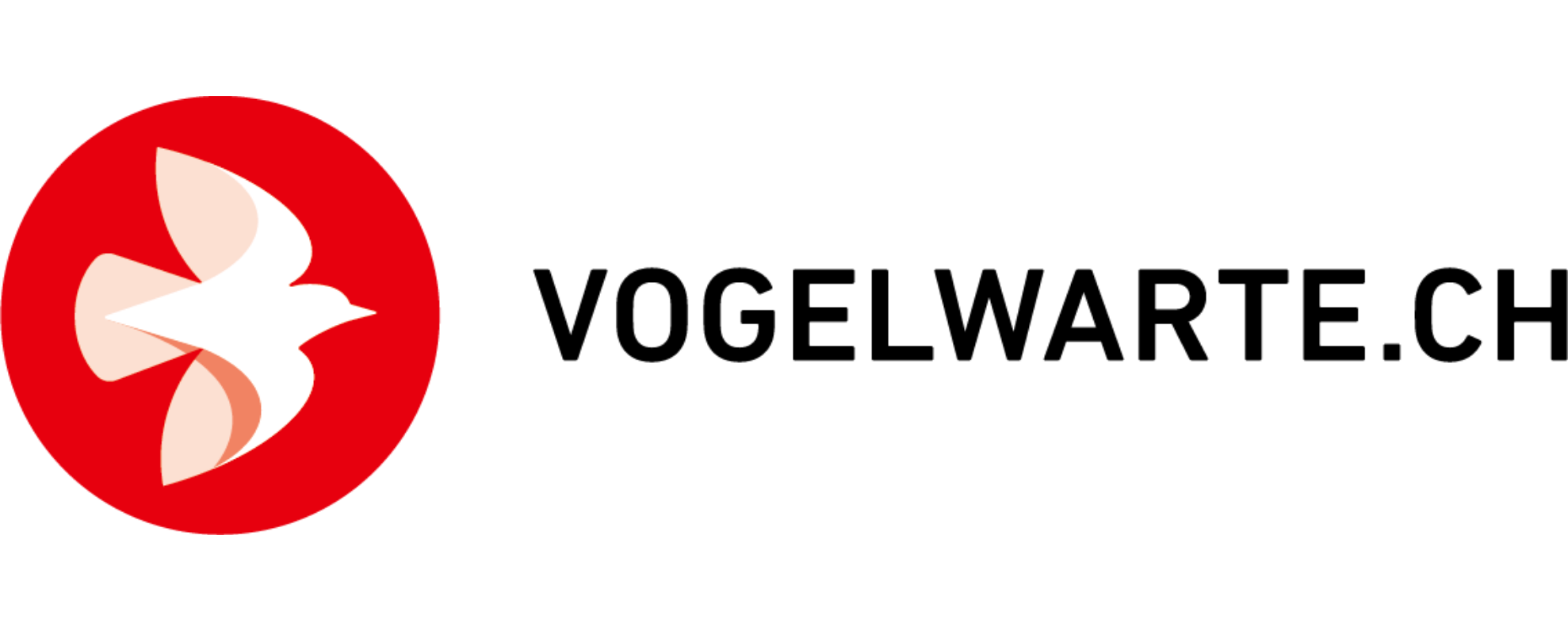 untitled design(286)